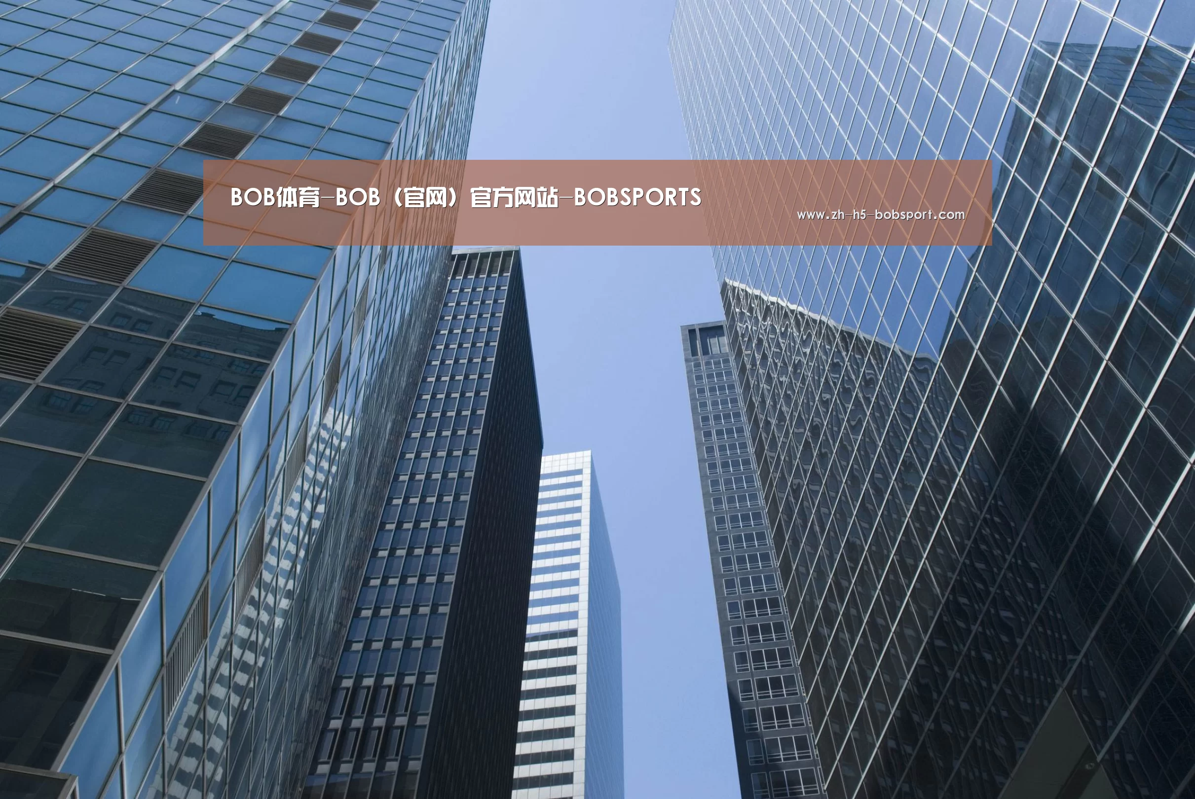 BOB官方网站公司简介 