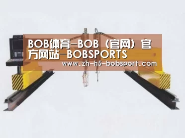 产品名称十七