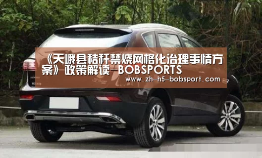 
《天峨县秸秆禁烧网格化治理事情方案》政策解读-BOBSPORTS(图2)