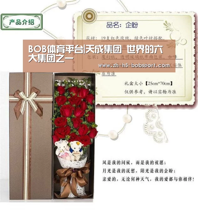 BOB体育平台|天成集团 世界的六大集团之一