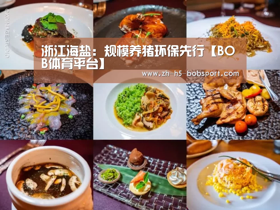 浙江海盐：规模养猪环保先行【BOB体育平台】