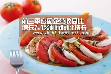 前三季度国企营收同比增长7.1%利润同比增长6.6%“BOBSPORTS”