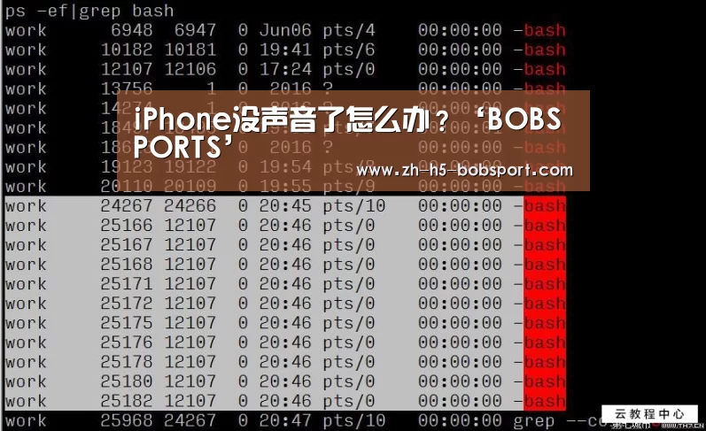 
iPhone没声音了怎么办？‘BOBSPORTS’