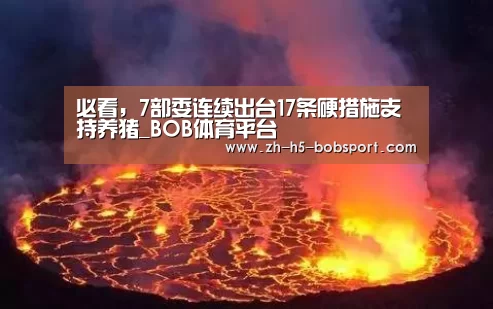 BOB体育平台